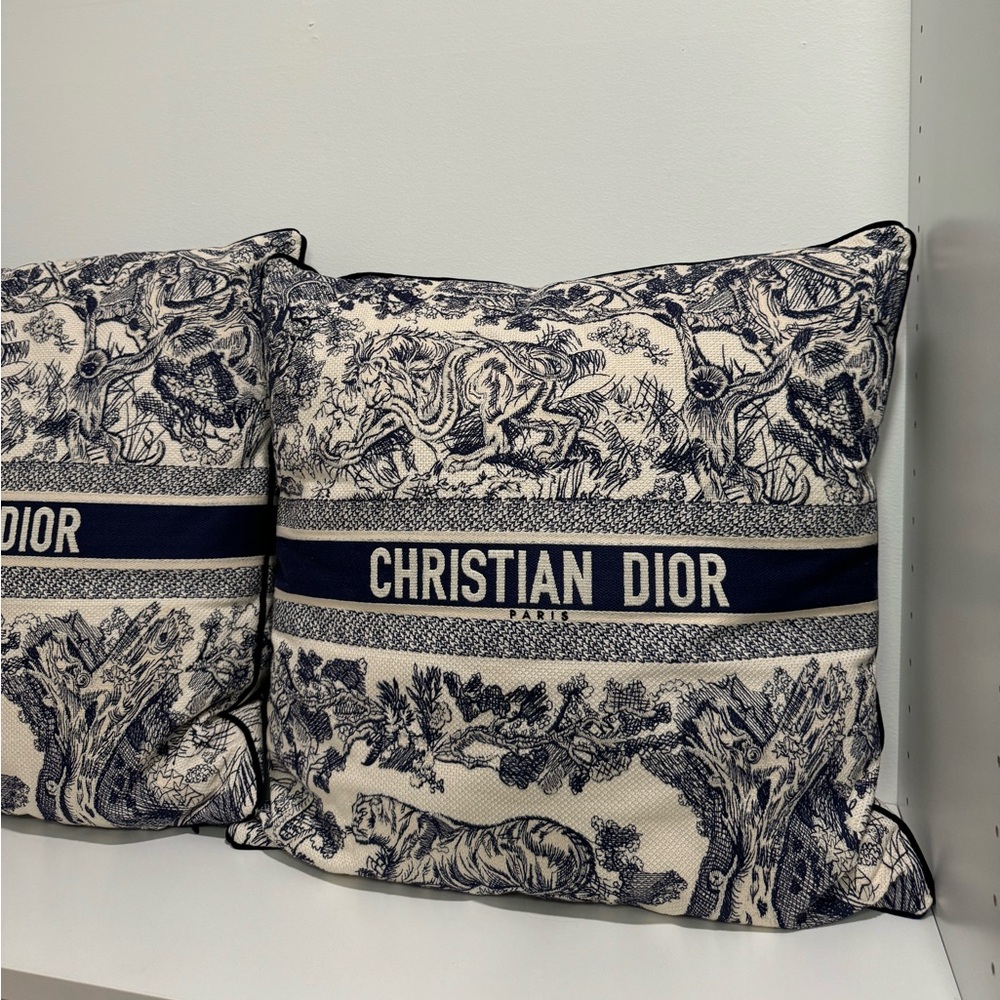Dior Pillow (s)